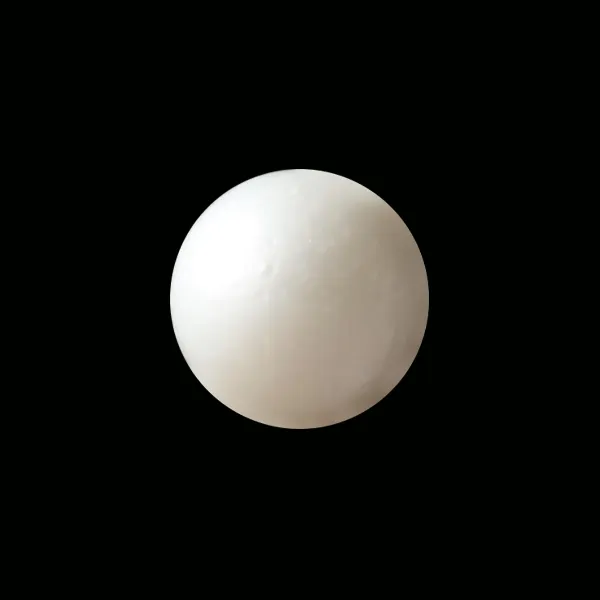 South Sea Pearl - 16.01 carats